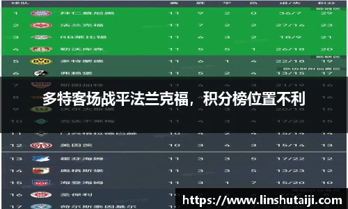 多特客场战平法兰克福，积分榜位置不利